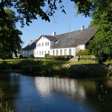 Bed and Breakfast Ronhave à Sønderborg Extérieur photo