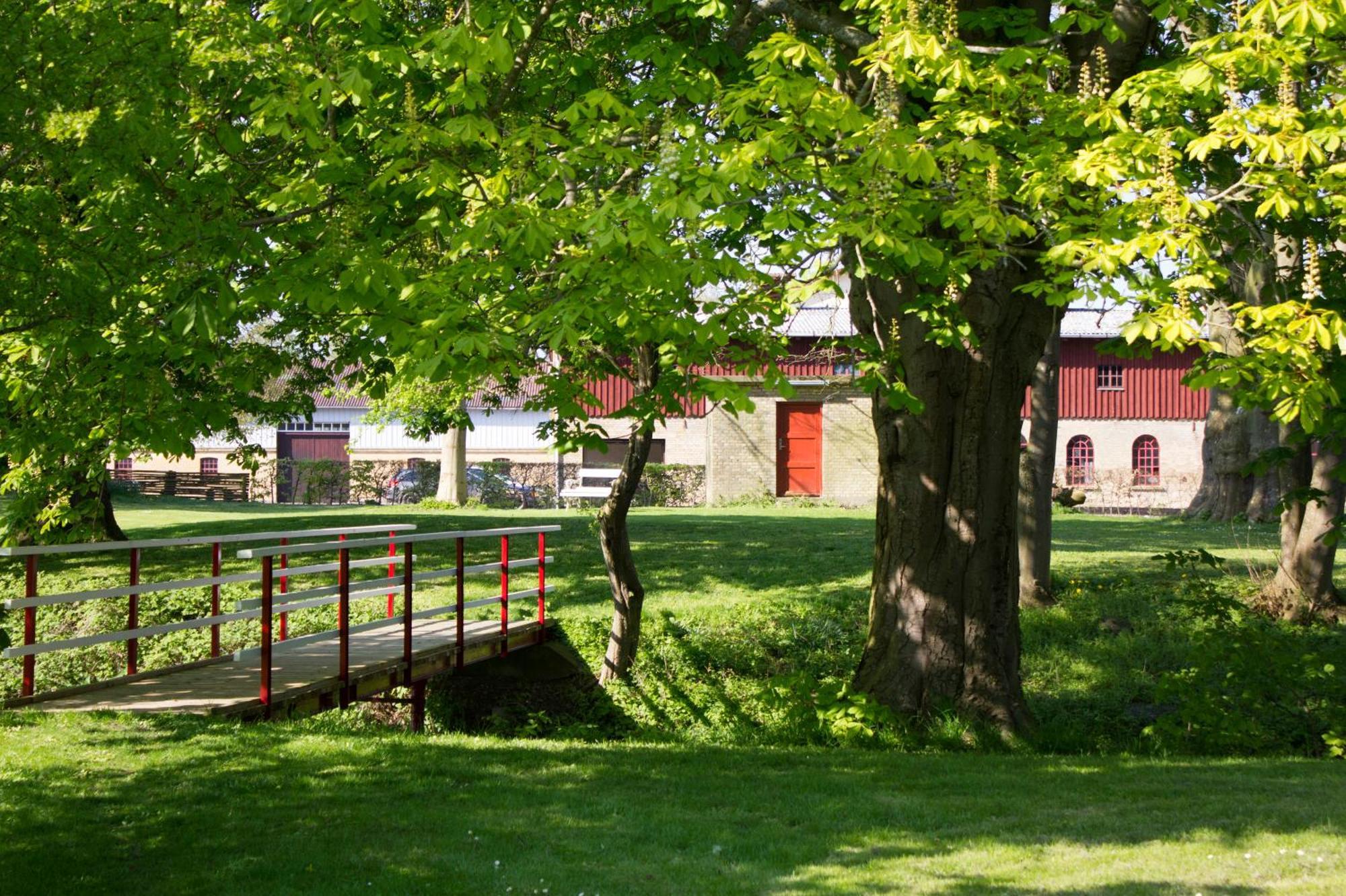 Bed and Breakfast Ronhave à Sønderborg Extérieur photo